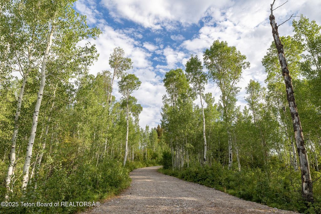 400 RED TAIL BUTTE Road, Jackson, WY 83001 photo 15