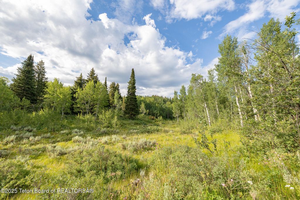 400 RED TAIL BUTTE Road, Jackson, WY 83001 photo 17