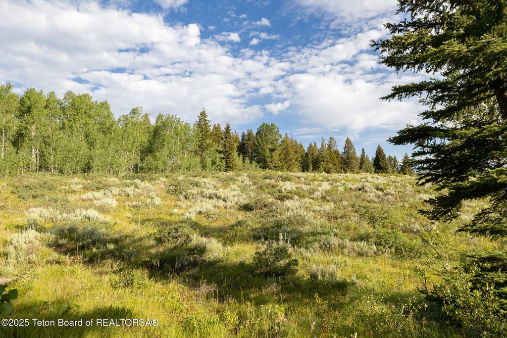 400 RED TAIL BUTTE Road, Jackson, WY 83001 photo 20