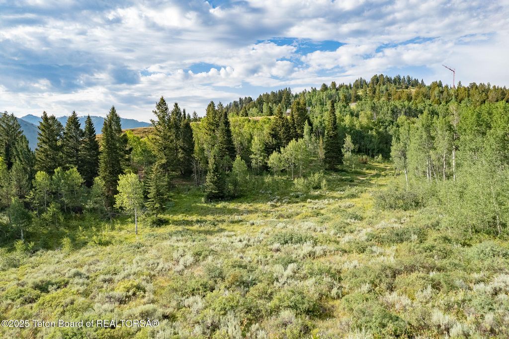 400 RED TAIL BUTTE Road, Jackson, WY 83001 photo 25