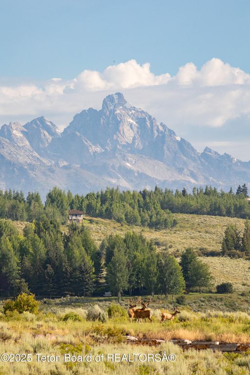 400 RED TAIL BUTTE Road, Jackson, WY 83001 photo 27