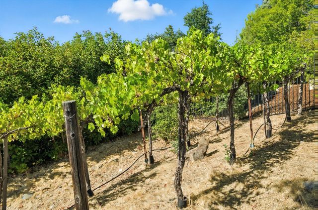 5132 Thalia Dr, El Dorado Hills, CA 95762