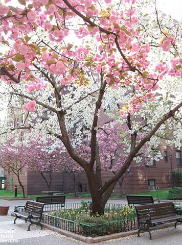 7811 35th Ave Apt 1G, New York City, NY 11372