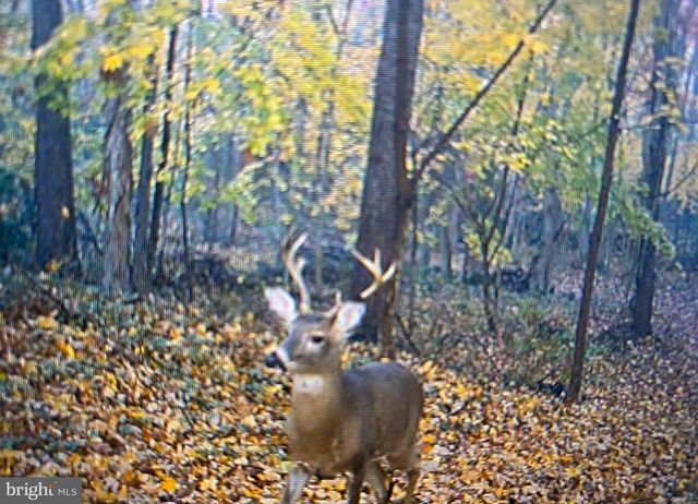 401 BECK MILL RD BECK MILL RD, Hanover, PA 17331