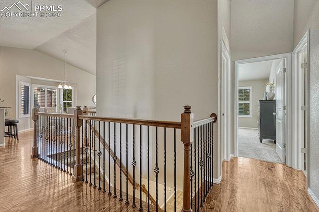 6535 Forest Thorn Court, Colorado Springs, CO 80927