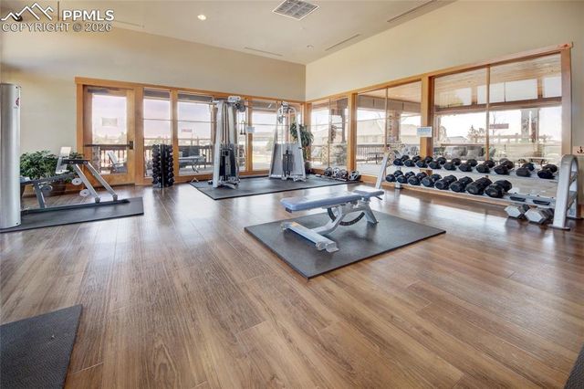 6535 Forest Thorn Court, Colorado Springs, CO 80927