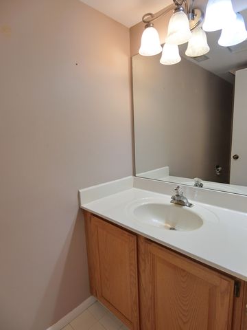 905 Sturnbridge Court, Schaumburg, IL 60173