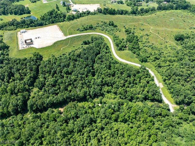 19 acres Saffell Road, Belmont, OH 43718