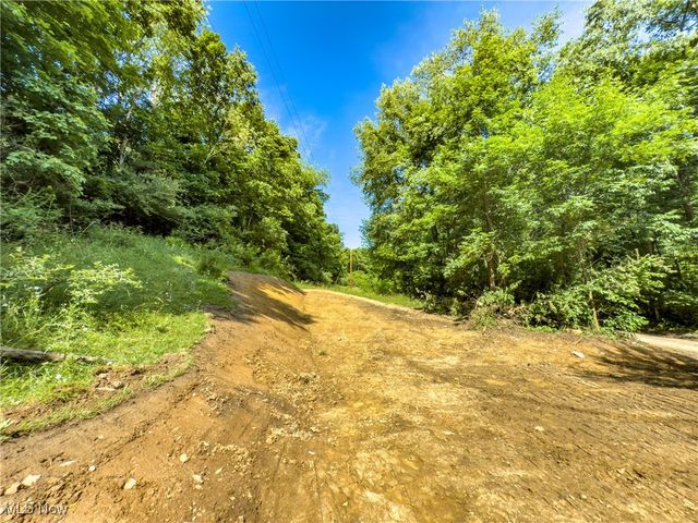 19 acres Saffell Road, Belmont, OH 43718