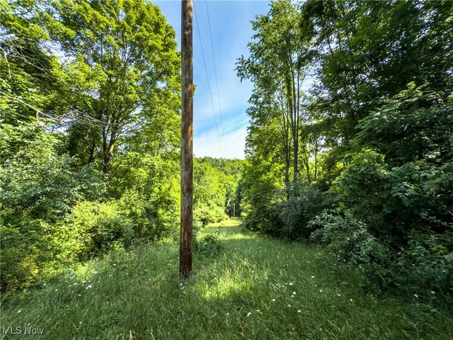 19 acres Saffell Road, Belmont, OH 43718
