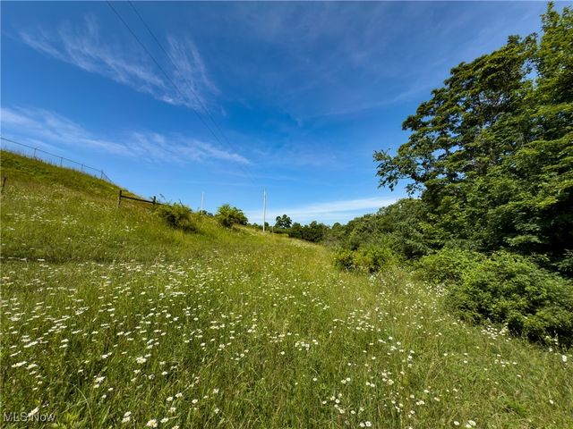 19 acres Saffell Road, Belmont, OH 43718