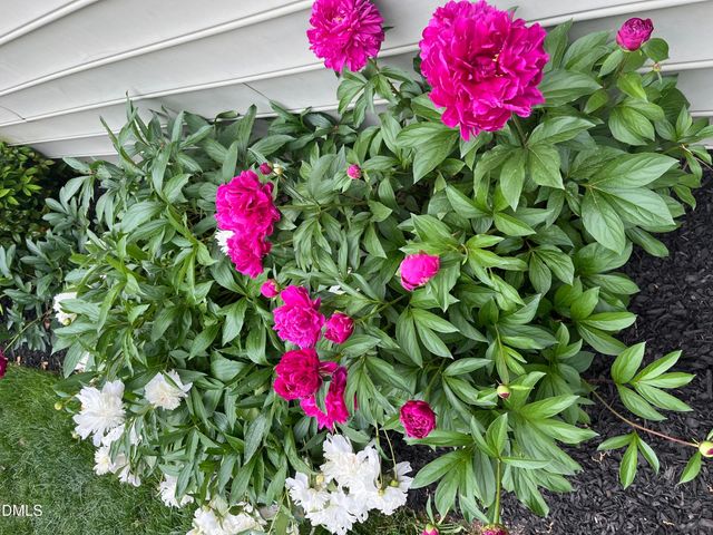 2103 Woodsdale Drive, Durham, NC 27703