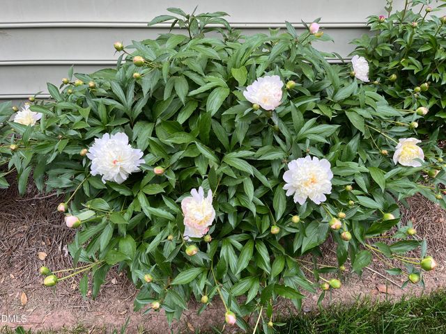 2103 Woodsdale Drive, Durham, NC 27703