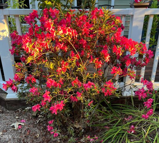 2103 Woodsdale Drive, Durham, NC 27703