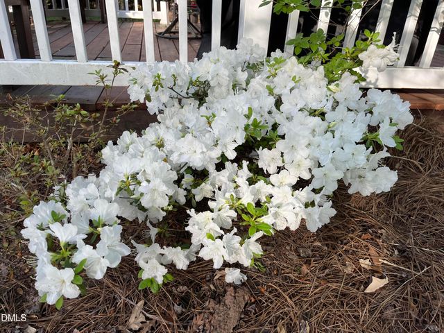 2103 Woodsdale Drive, Durham, NC 27703