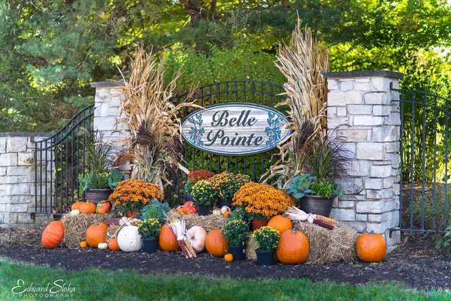 16009 Sara Lane, Union, IL 60180
