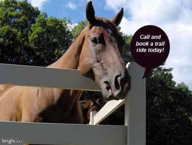 111 BIRCHSIDE, Locust Grove, VA 22508