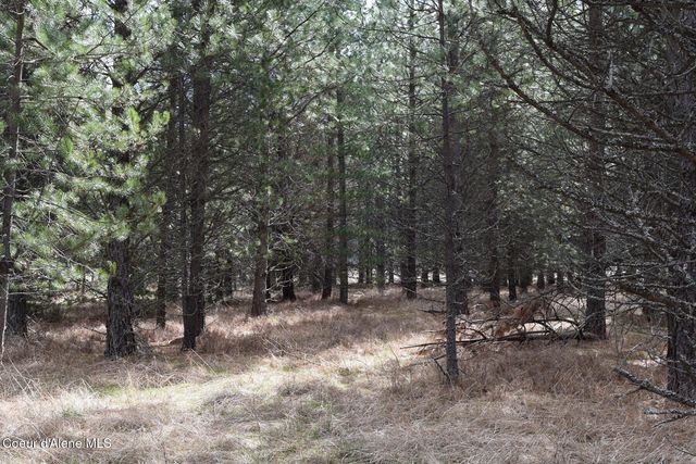 NNA Ponderesa Ranch Rd, Sagle, ID 83860
