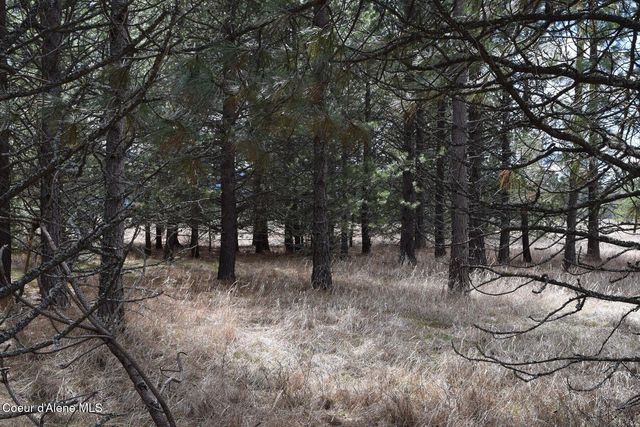 NNA Ponderesa Ranch Rd, Sagle, ID 83860