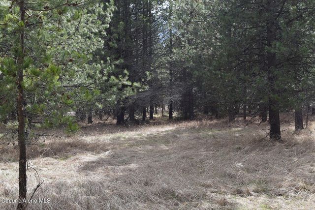 NNA Ponderesa Ranch Rd, Sagle, ID 83860