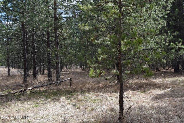 NNA Ponderesa Ranch Rd, Sagle, ID 83860