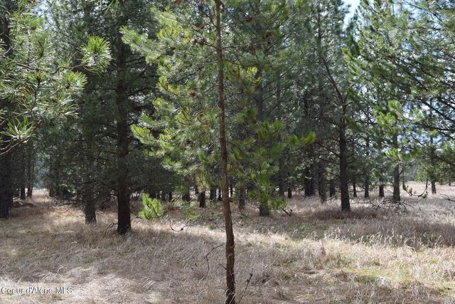 NNA Ponderesa Ranch Rd, Sagle, ID 83860