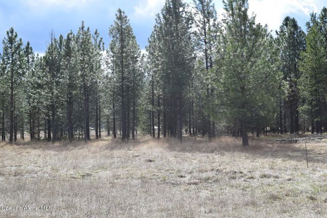 NNA Ponderesa Ranch Rd, Sagle, ID 83860