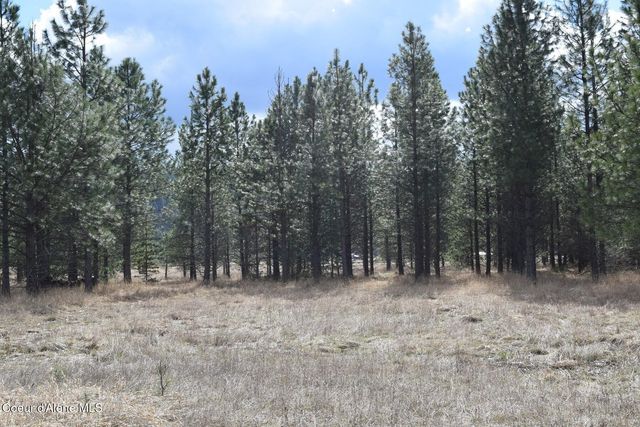 NNA Ponderesa Ranch Rd, Sagle, ID 83860