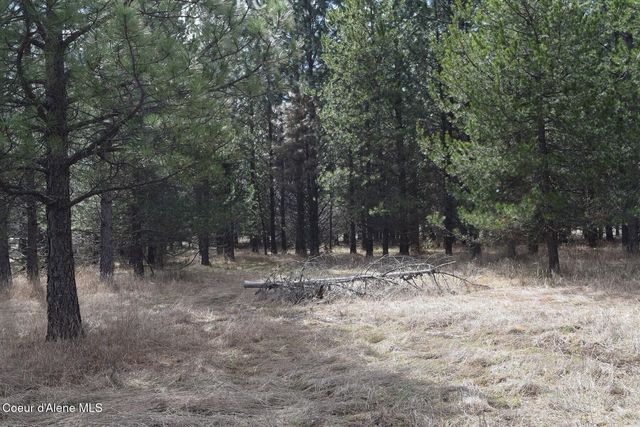 NNA Ponderesa Ranch Rd, Sagle, ID 83860
