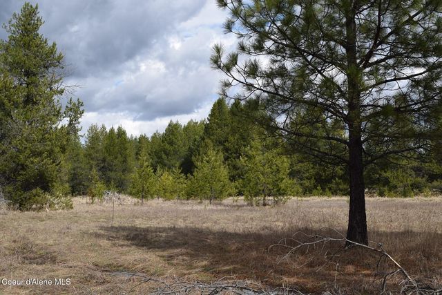NNA Ponderesa Ranch Rd, Sagle, ID 83860
