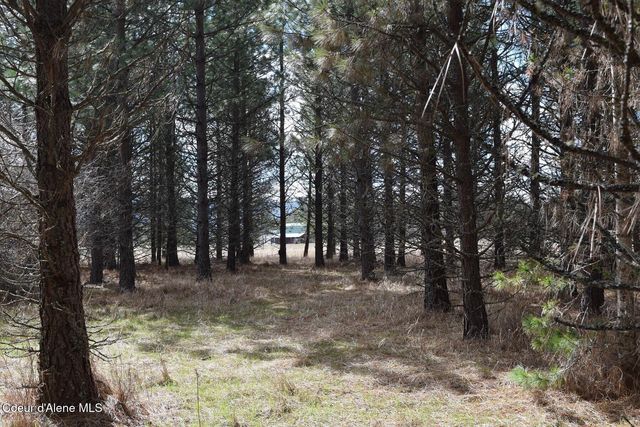 NNA Ponderesa Ranch Rd, Sagle, ID 83860