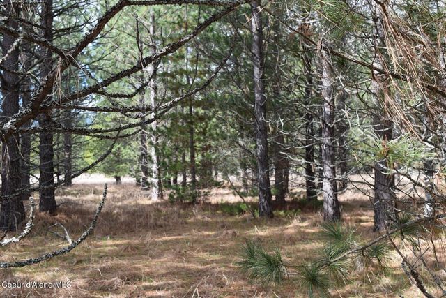 NNA Ponderesa Ranch Rd, Sagle, ID 83860