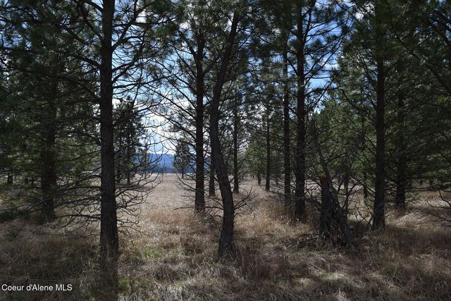NNA Ponderesa Ranch Rd, Sagle, ID 83860