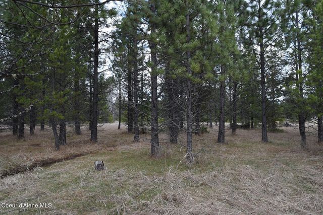 NNA Ponderesa Ranch Rd, Sagle, ID 83860