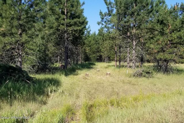 NNA Ponderesa Ranch Rd, Sagle, ID 83860