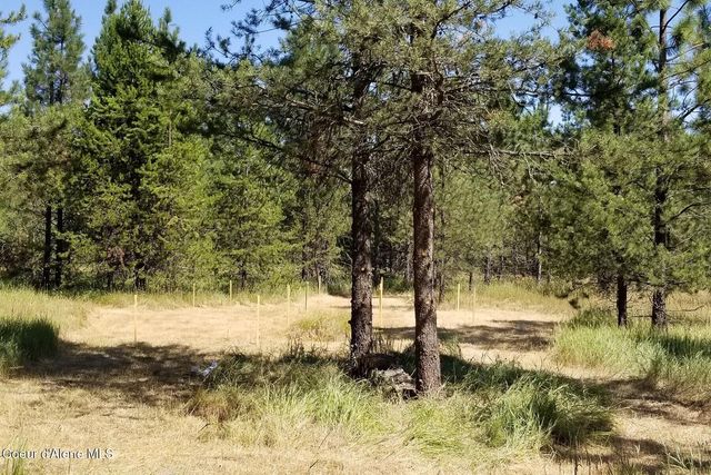 NNA Ponderesa Ranch Rd, Sagle, ID 83860