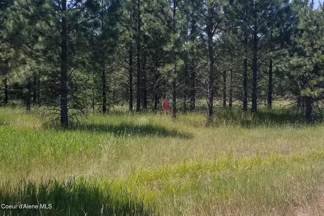 NNA Ponderesa Ranch Rd, Sagle, ID 83860