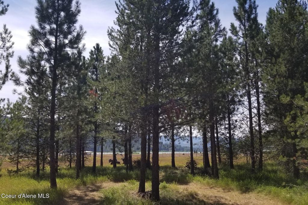 NNA Ponderesa Ranch Rd, Sagle, ID 83860