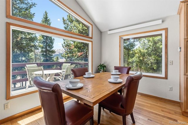1233 Baldy Road, Breckenridge, CO 80424