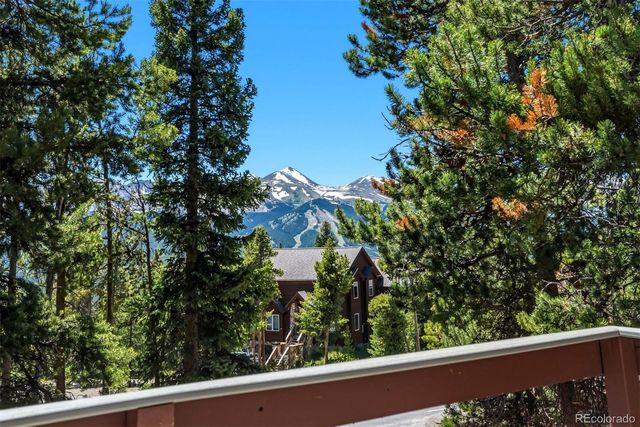 1233 Baldy Road, Breckenridge, CO 80424