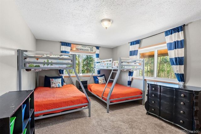 1233 Baldy Road, Breckenridge, CO 80424