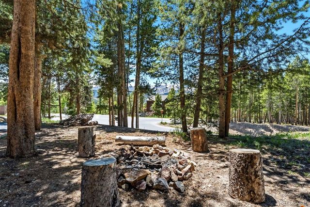 1233 Baldy Road, Breckenridge, CO 80424