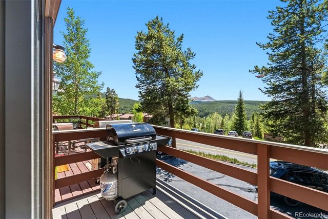 1233 Baldy Road, Breckenridge, CO 80424