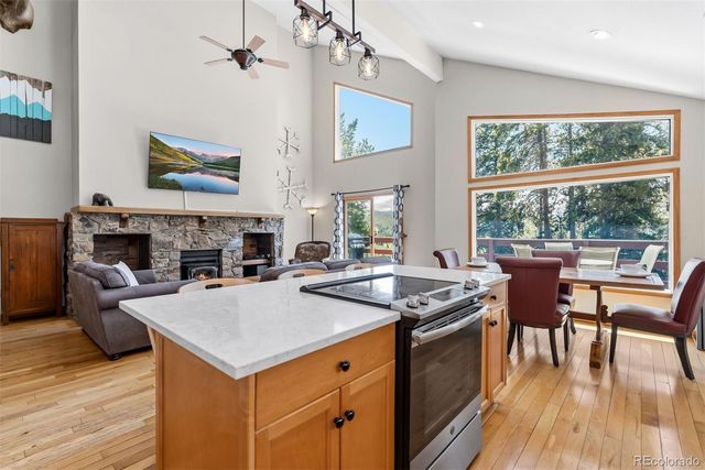 1233 Baldy Road, Breckenridge, CO 80424