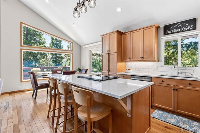 1233 Baldy Road, Breckenridge, CO 80424