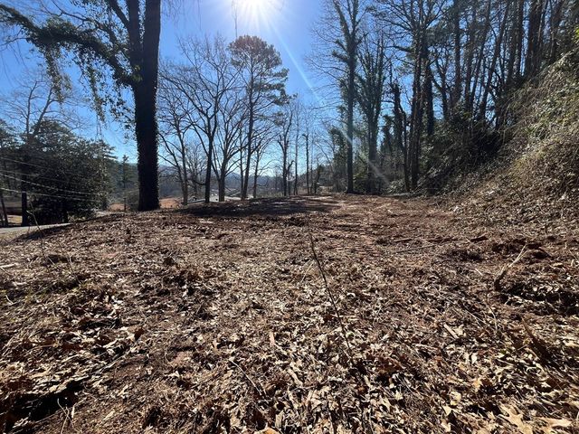 59 Bradley Street, Blue Ridge, GA 30513