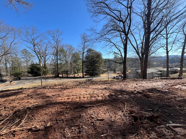 59 Bradley Street, Blue Ridge, GA 30513