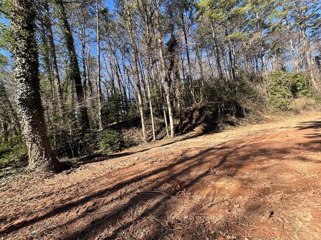 59 Bradley Street, Blue Ridge, GA 30513