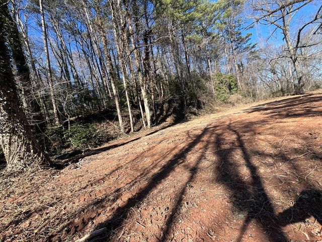 59 Bradley Street, Blue Ridge, GA 30513