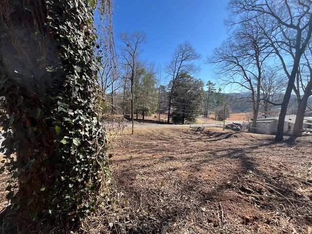 59 Bradley Street, Blue Ridge, GA 30513
